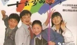 十六岁的花季电视剧,十六岁花季的青春旋律